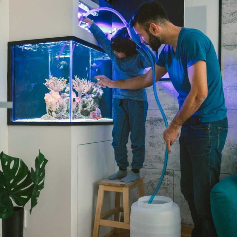 🐠 Aquarium Cleaning